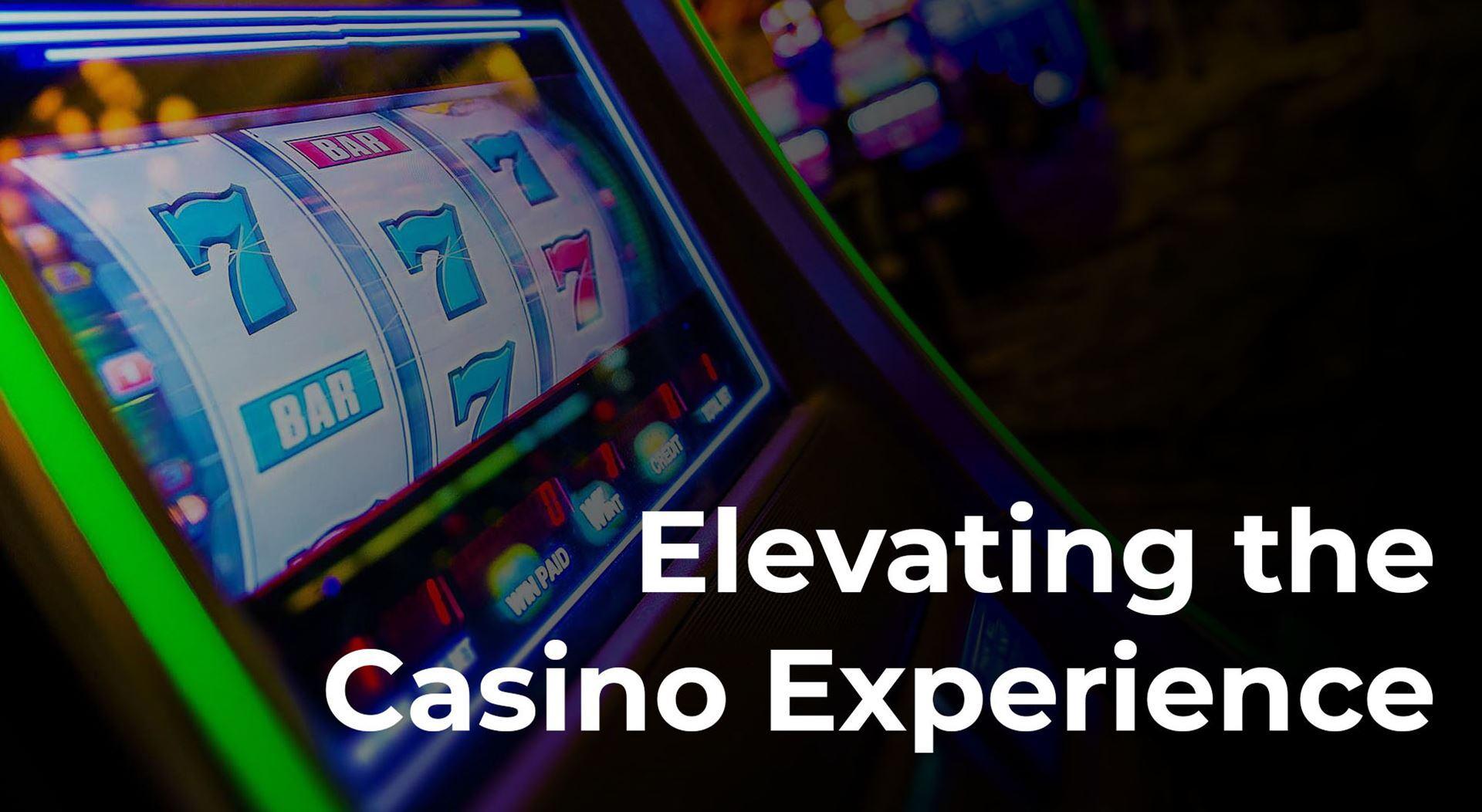 Cập nhật kết quả trực tiếp đá gà tại Casino 67 hôm nay cùng những khoảnh khắc gay cấn